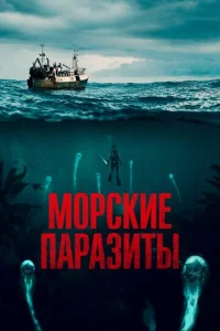 m1m0rhсkue nojkrhojkʒuτӹ