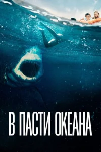 B nojkсτu 0keojkkvjojk